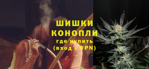 амф Коряжма