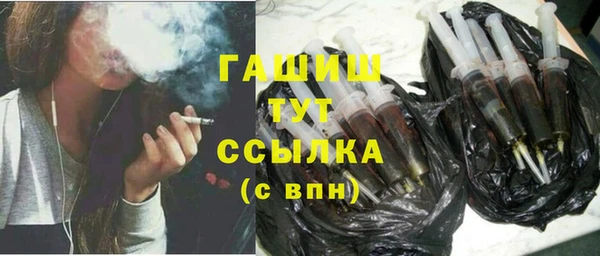 дмт Каменка