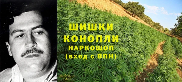 2c-b Корсаков