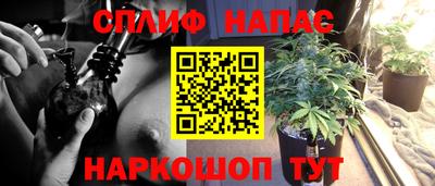 стаф Северобайкальск